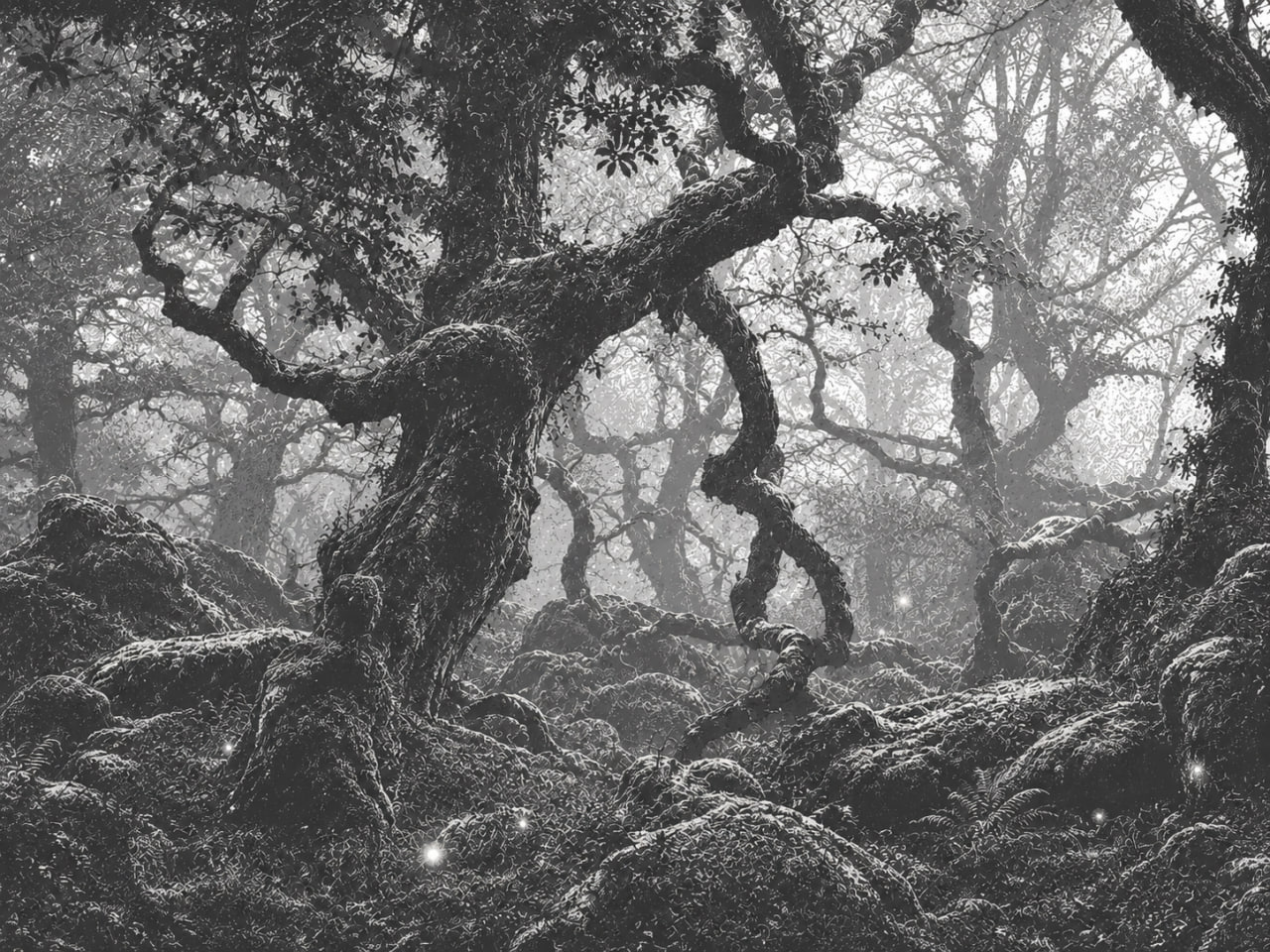 The Forest — dense old-growth woodland